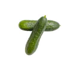 Cucumber