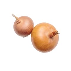 Onion