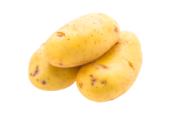Potato